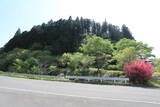 常陸 大岩城の写真