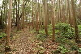 常陸 大門北城の写真