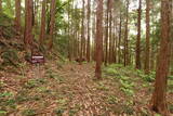常陸 大門北城の写真