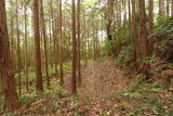 常陸 大門北城の写真