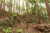 常陸 大門北城の写真