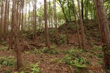 常陸 大門北城の写真