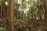 常陸 大門北城の写真