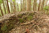 常陸 大門北城の写真