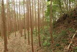 常陸 大門北城の写真