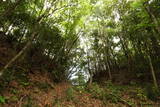 常陸 大門北城の写真