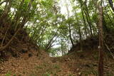 常陸 大門北城の写真