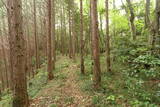 常陸 大門北城の写真