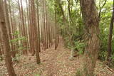 常陸 大門北城の写真
