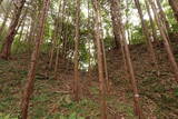 常陸 大門北城の写真