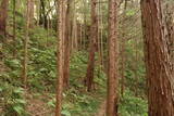 常陸 大門北城の写真