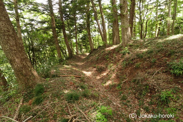 常陸 大門南城の写真