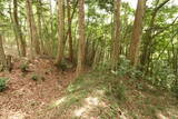 常陸 大門南城の写真