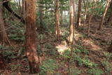 常陸 愛宕山城(日立市)の写真