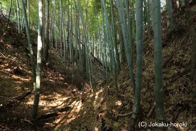 常陸 大窪城の写真