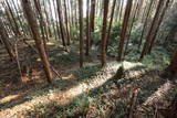 常陸 天神山城(日立市)の写真