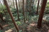 常陸 天神山城(日立市)の写真