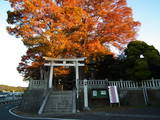 常陸 太田城の写真