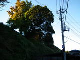 常陸 太田城の写真