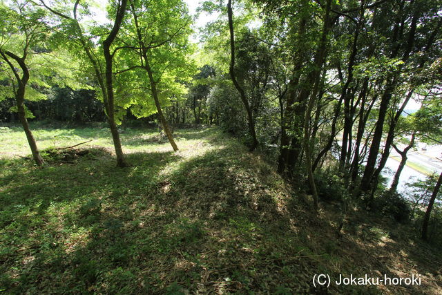 常陸 岡見城の写真