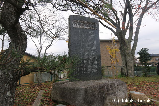 常陸 小野崎城の写真