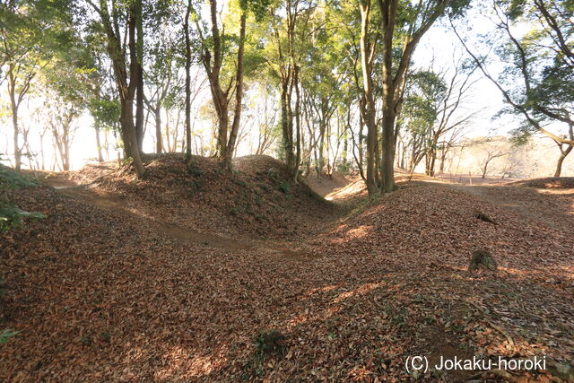 常陸 小坂城の写真