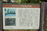 常陸 相賀城の写真