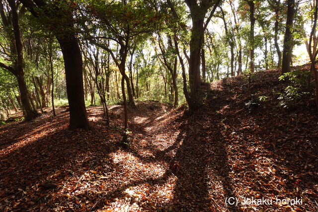 常陸 竜ヶ井城の写真