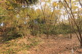 常陸 三階城の写真