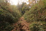常陸 三階城の写真