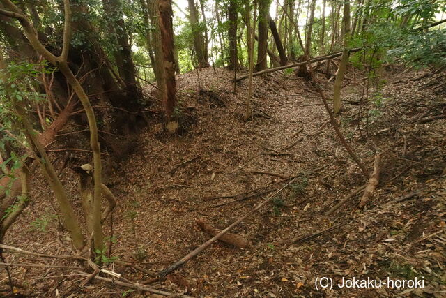 常陸 島並城の写真
