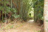 常陸 島並城の写真