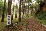 常陸 島崎城の写真