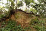 常陸 島崎城の写真