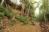 常陸 島崎城の写真