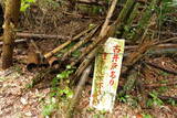 常陸 島崎城の写真