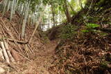 常陸 島崎城の写真