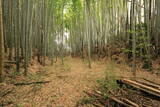 常陸 島津城の写真