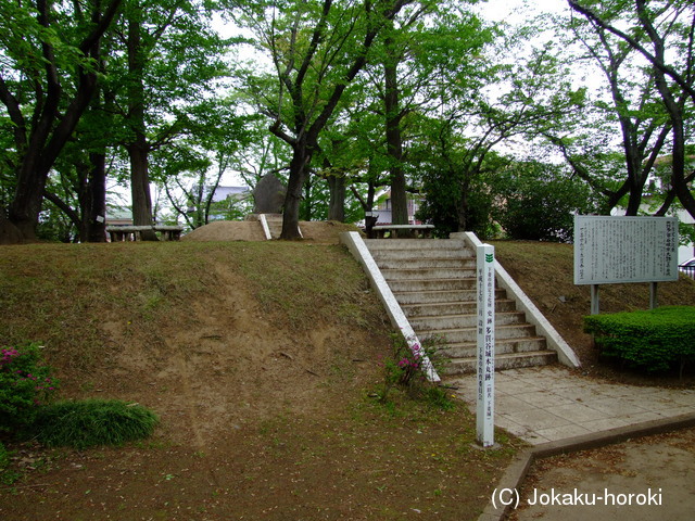 常陸 下妻城の写真