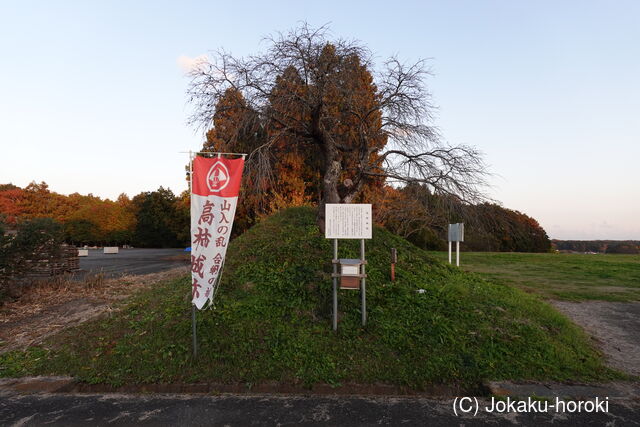常陸 高柿城の写真