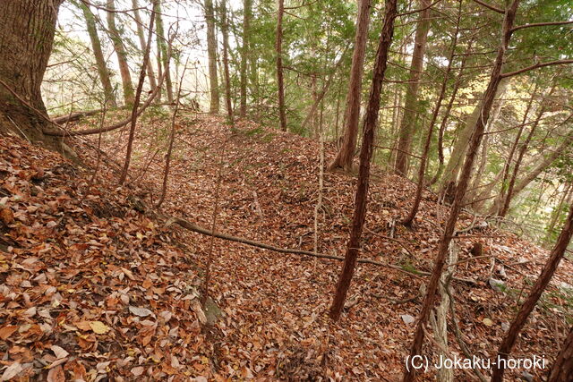 常陸 高沢向館の写真