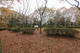 常陸 多良崎城の写真