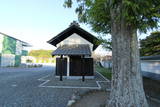常陸 龍子山城の写真