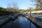 常陸 龍子山城の写真
