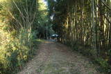 常陸 龍子山城の写真