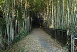 常陸 龍子山城の写真