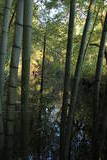 常陸 龍子山城の写真