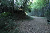 常陸 龍子山城の写真