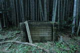 常陸 龍子山城の写真