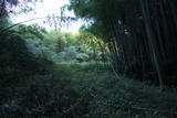 常陸 龍子山城の写真